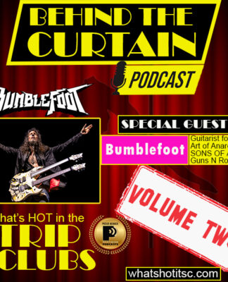 Bumblefoot interview